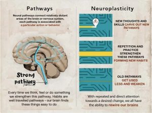 your plastic brain in hapticroom